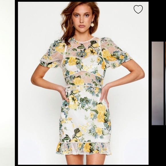 so darling dress alice mccall